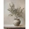 Retro Elegante Olivenbaum und Zitrone Leinwand Poster Vase Wandkunst Poster Perfektes Geschenk für Wohnzimmer Schlafzimmer Studentenwohnheim Heimdekoration