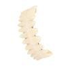 1Pair Removable Dental Teeth Teaching Model Resin Dental Training Model  For Training Models