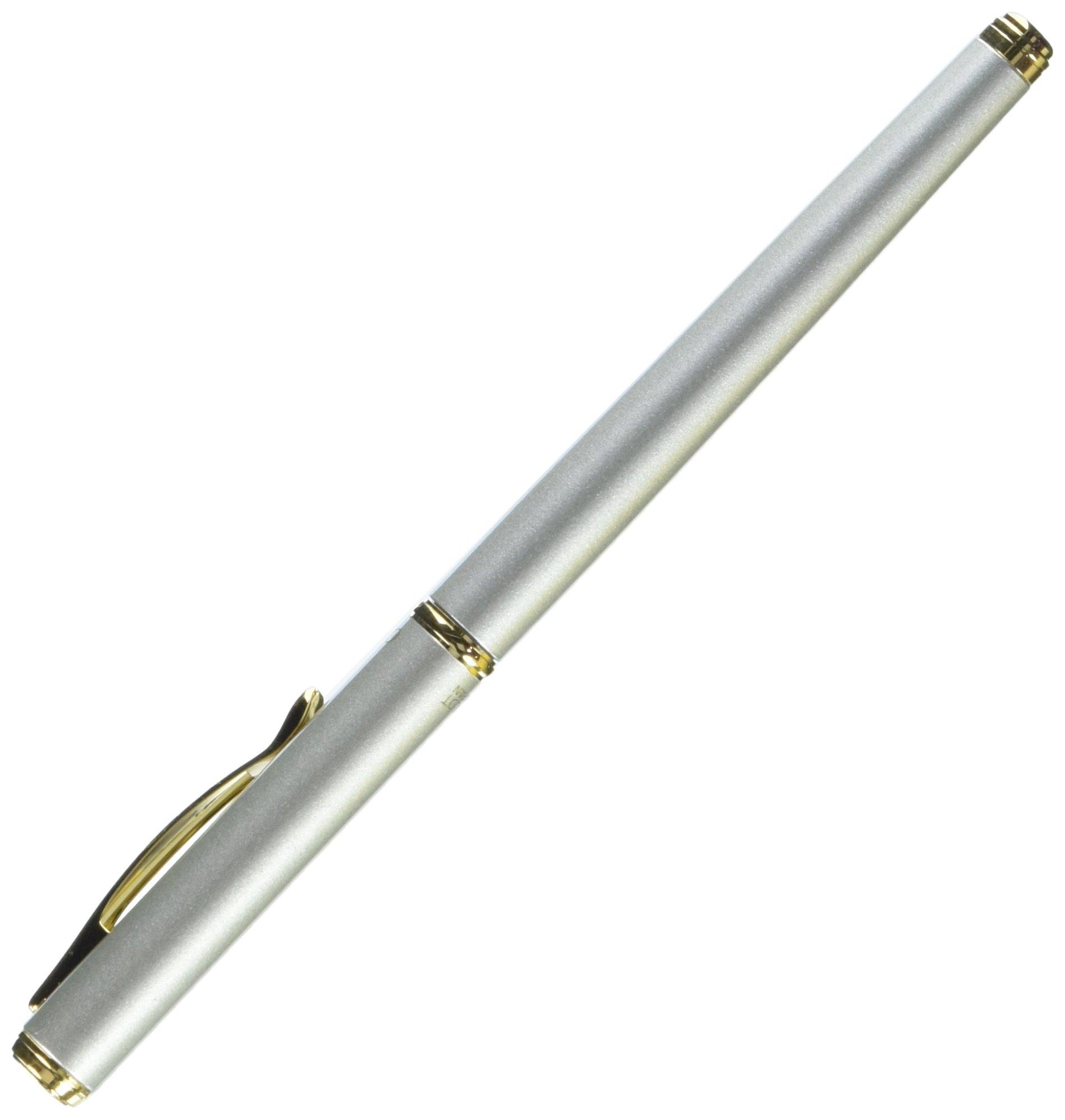 

Перьевая ручка Pilot Cavalier Fine Point FCA3SRSF (F) [Серебряный вал]