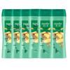 Hazeline Ginger & Ginseng Anti-Dandruff Shampoo 6-Pack