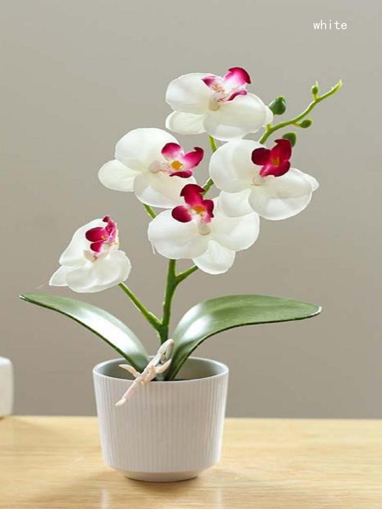 Creativ Opt Capete Film Phalaenopsis Bonsai Floare Simulare Floare Falsă Simulare Ghiveci Artificial Decor Acasă Birou