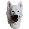 Husky