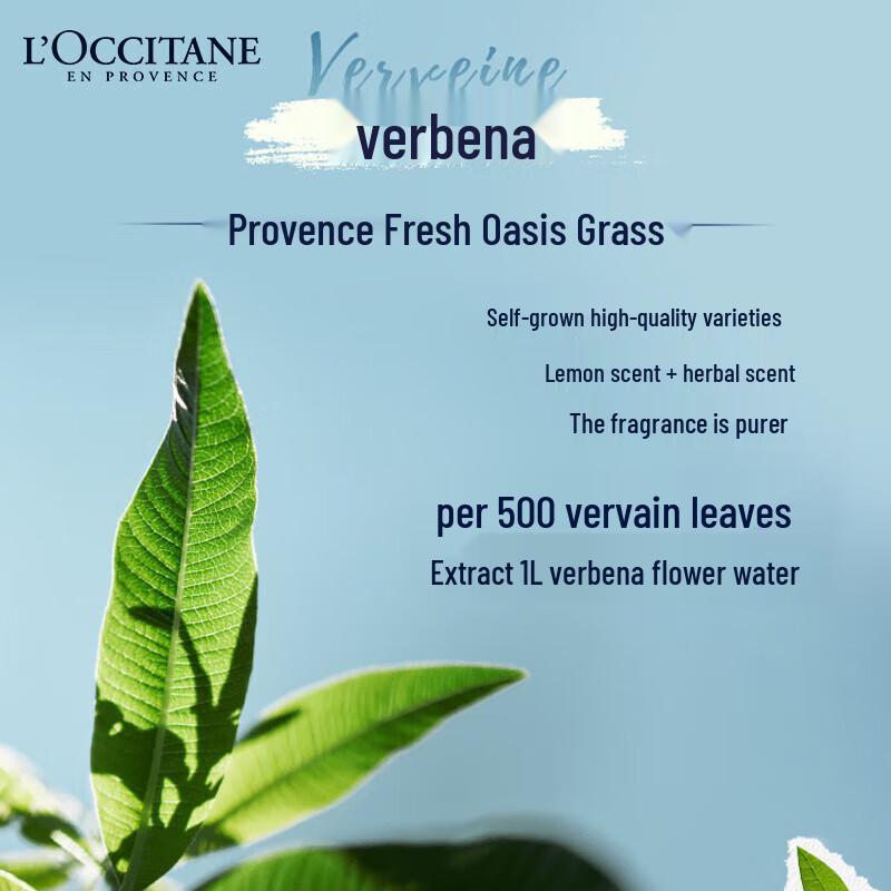 L'Occitane Verbena Shower Gel