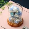 Teatsite Preserved Flowers, Flower Gift, Glass Dome Ferris Wheel (2 Blue Roses)