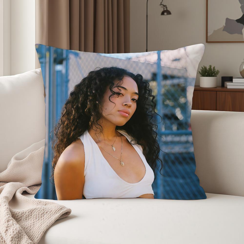 Singer Jjoyce Wrice Break Me In Pillow Case Suitable For Bedrooms Living Rooms Cars Home Decoration