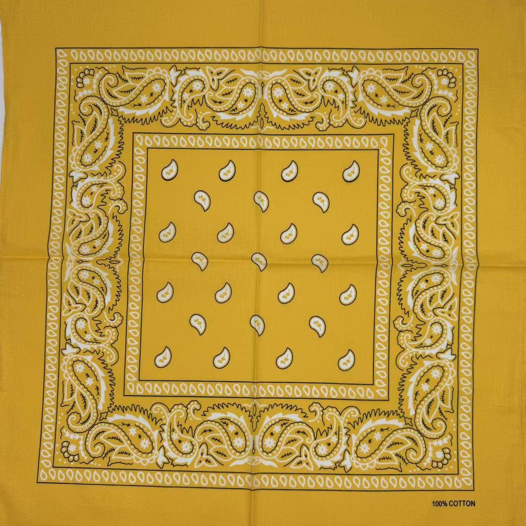 Cotton Paisley Headscarf and Cycling Mask