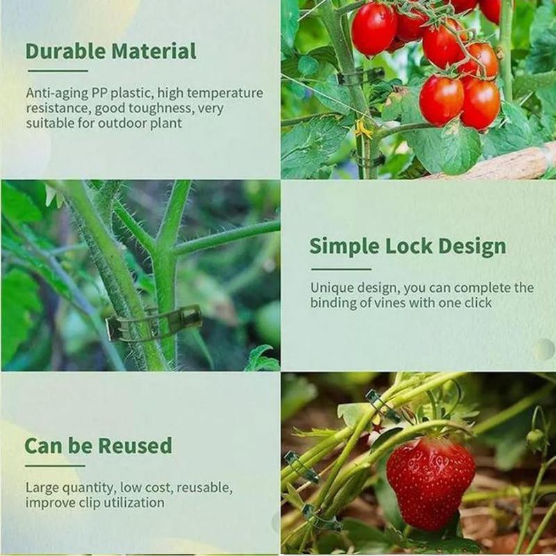 100/200/300Pcs Plant Support Clips Reusable Plant Binding Clip Tomato Trellis Clips for Vine Vegetables Grow Upright Healthier