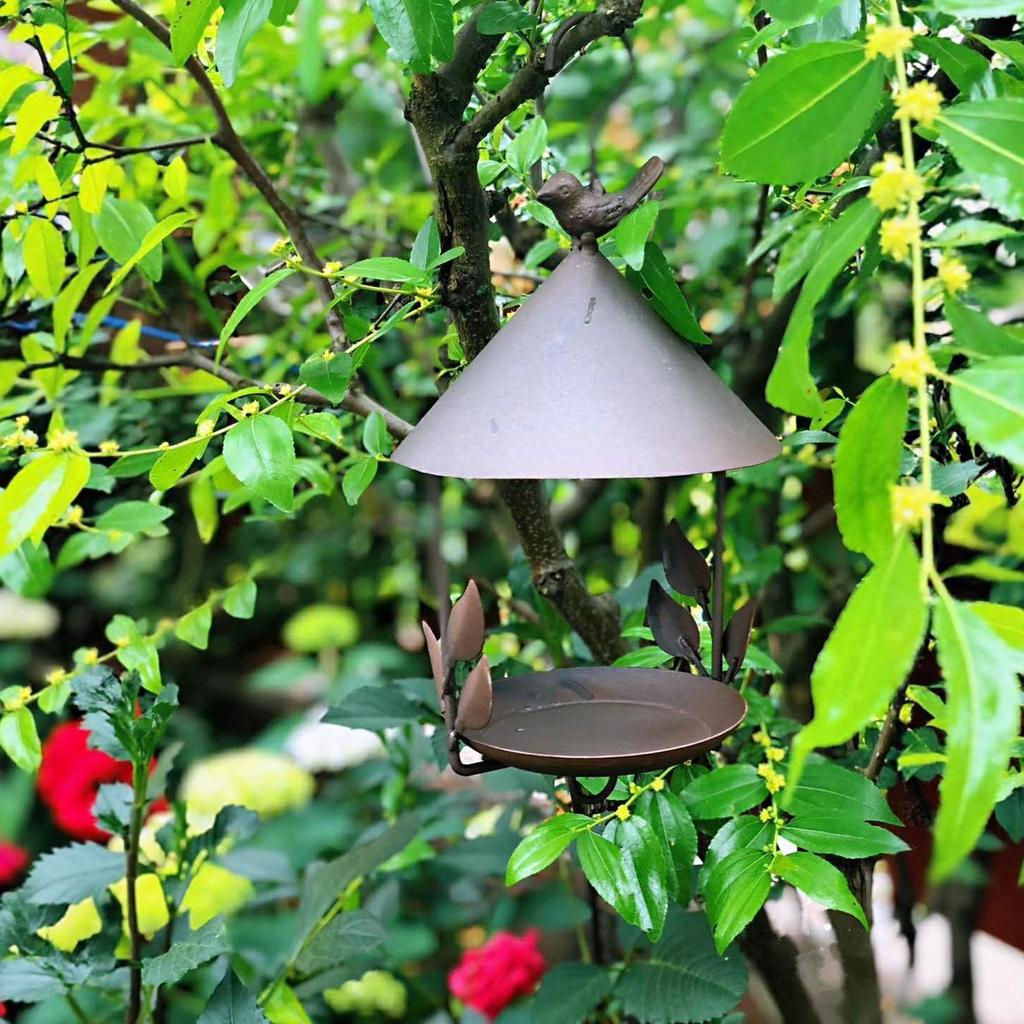 Wrought Iron Parrot Bird House & Feeder Ornament for Garden Cockatiel