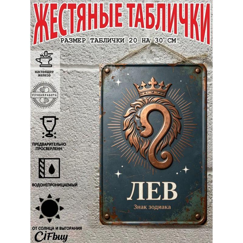 Vintage Metal Wall Poster Zodiac Sign, Living Room Decor, 20x30cm