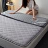 WTEMPO Double-sided Four Seasons Available Foldable High Quality Soft Mattress Thick Bedroom Bed Sheet Tatami Pad School Dormitory Bed Mattress Pad
