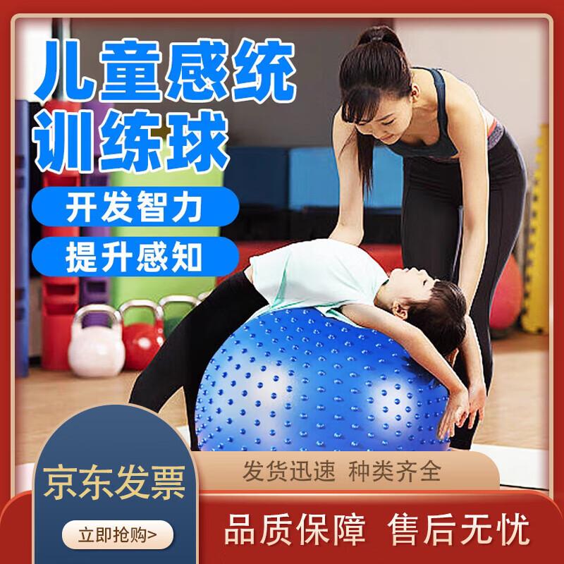 Zhen Chang Sheng Thickened Massage & Yoga Ball
