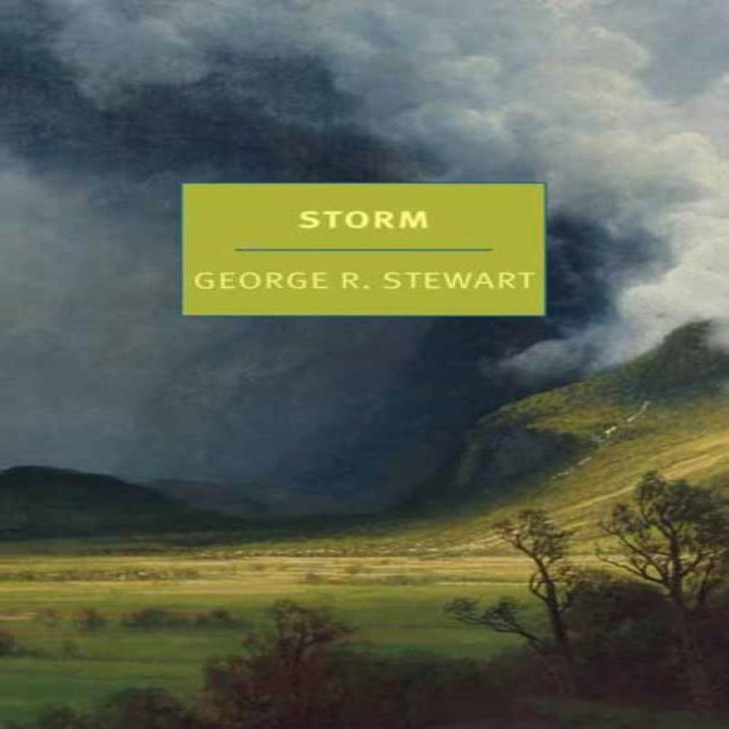 Storm by Nathaniel Rich Paperback Book 9781681375182