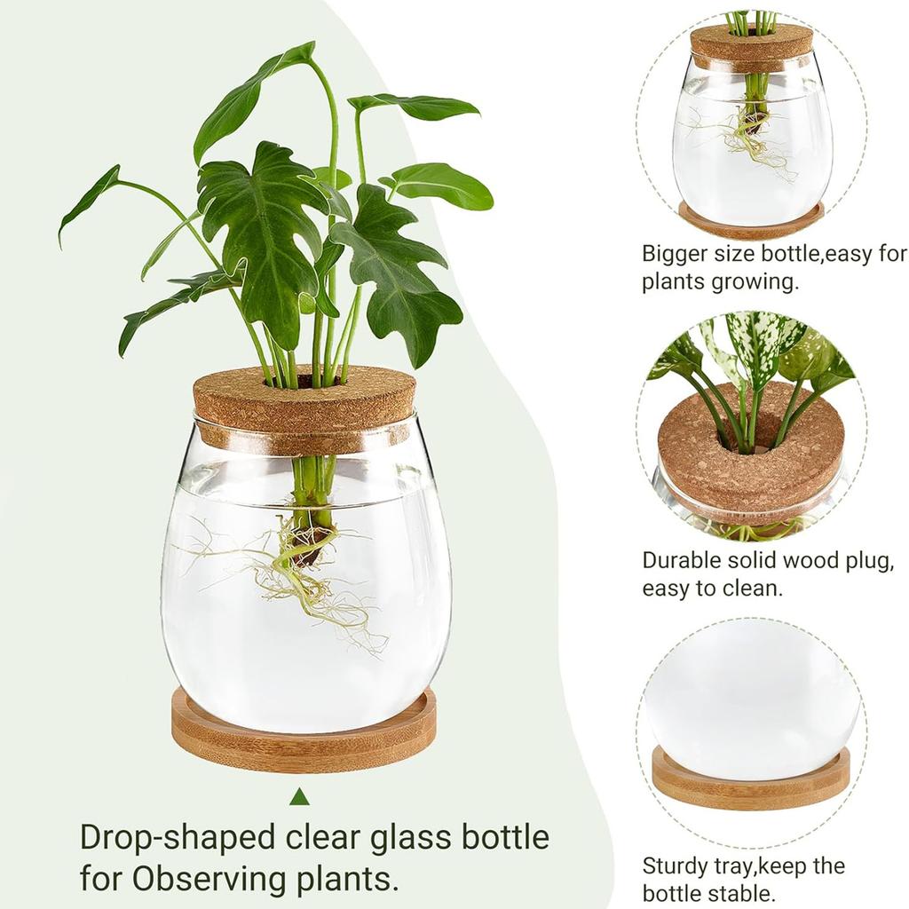 Plant Terrarium Transparent Vase Desktop Propagation Stations Glass Planter For Office Home Garden Decor