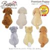 Bestever Premium Puppy Cocker Spaniel Sitting Plush Toy 53115