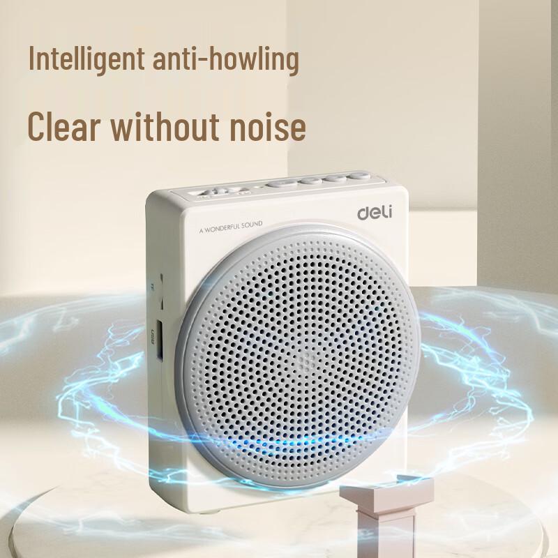 Deli LT910J 10W Portable Wireless Voice Amplifier CN plug (adapter included)