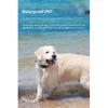 GPS Pet Tracker Pet Locator RF-V41  Pet Dog Gps Mini Tracker IP67 Waterproof Built-in 1300 MAh Battery 2G-GSM/4G