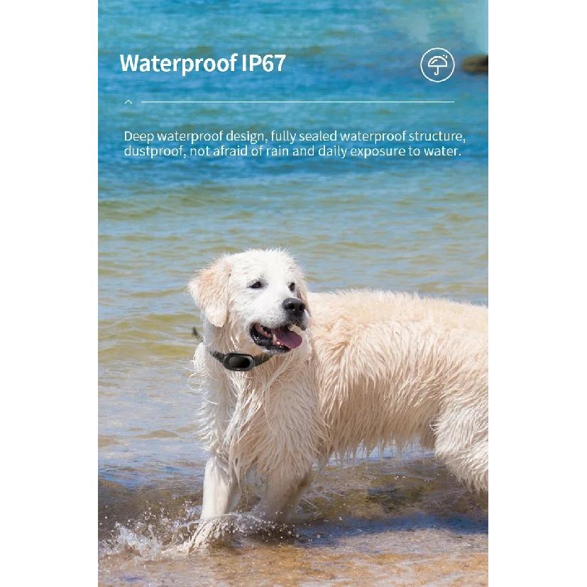 GPS Pet Tracker Pet Locator RF-V41 Pet Dog Gps Mini Tracker IP67 Waterproof Built-in 1300 MAh Battery 2G-GSM/4G