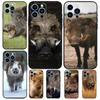 Wildschwein Hülle Für OPPO Reno 8 7 Lite 14 13 12 11 F 10 Pro 8T Hülle Für OPPO Find X8 X6 X5 X9 Pro Hülle