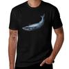 Blue Whale and a Diver TShirt Breathable Workout Short Sleeve Top