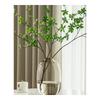 Shangqi Luxury Electroplated Glass Vase