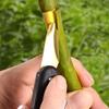 PP Plastic & Stainless Steel Grafting Knife - Horticulture Budding Tool for Fruit Trees and Vegetables