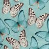 Royal Velvet Fabric Polyester For Sewing - Motif Butterflies On Blue