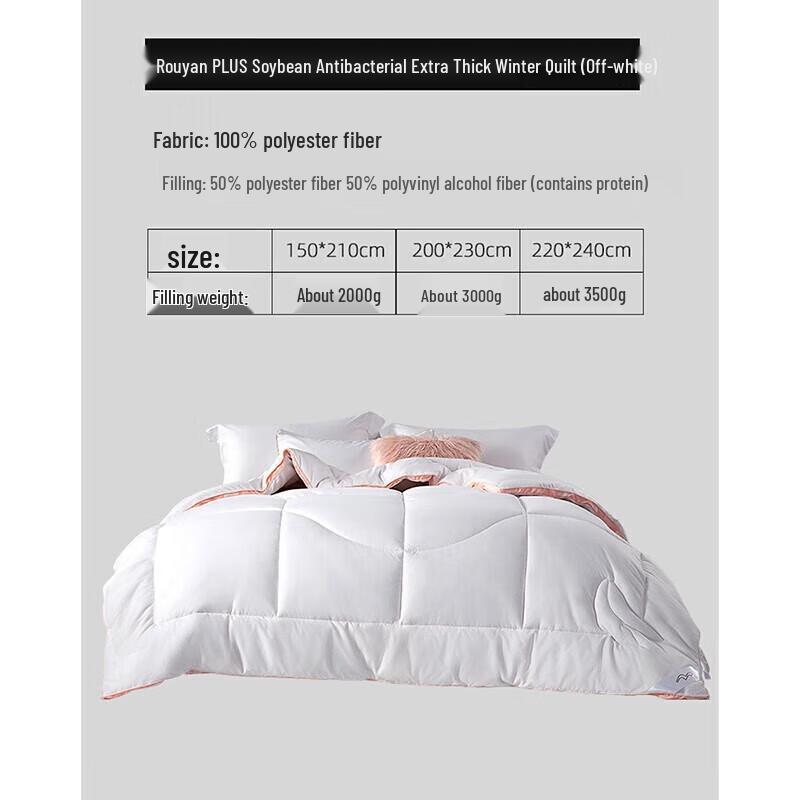 

Mercury Home Textiles Thickened Winter Quilt