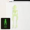 Skeleton Fridge Magnets with Movable Joints Poseable Magnetic Skeleton Figurine for Kitchen Home Halloween Decoration