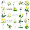 50 Pusteblumen INS-Stil Aufkleber zur DIY-Dekoration: Tablets, Journale, Notizbücher und Karten.