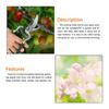 High Carbon Steel Pruning Shears Black and Green Bypass Pruners  Fruit Tree Maintenance