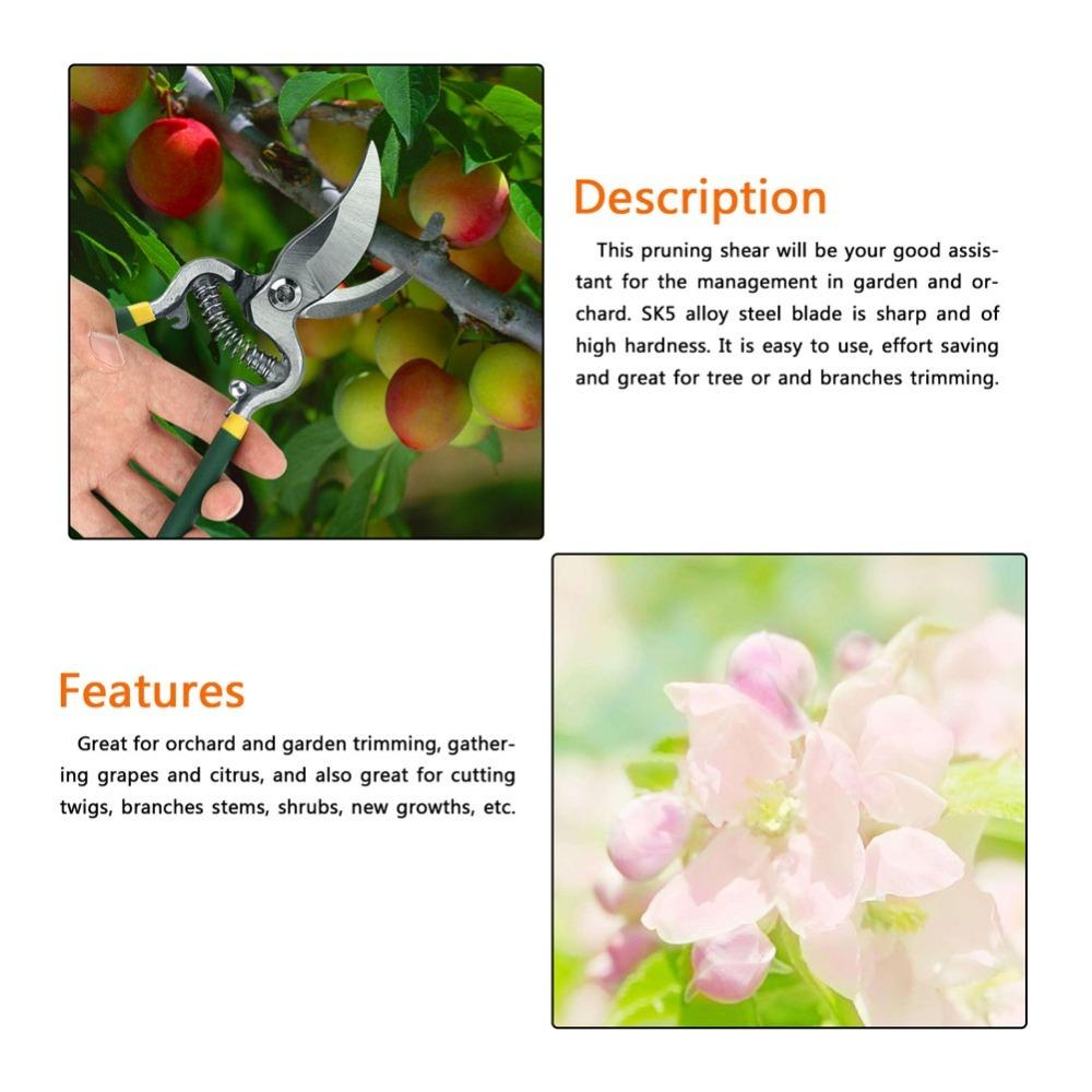 High Carbon Steel Pruning Shears Black and Green Bypass Pruners Fruit Tree Maintenance