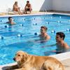 Schwimmendes Seil Mehrzweck-Sicherheits-Schwimmbahn-Bojen Rennleine Für Zuhause Öffentliche Innen-Trainings-Wettkampf-Rennen