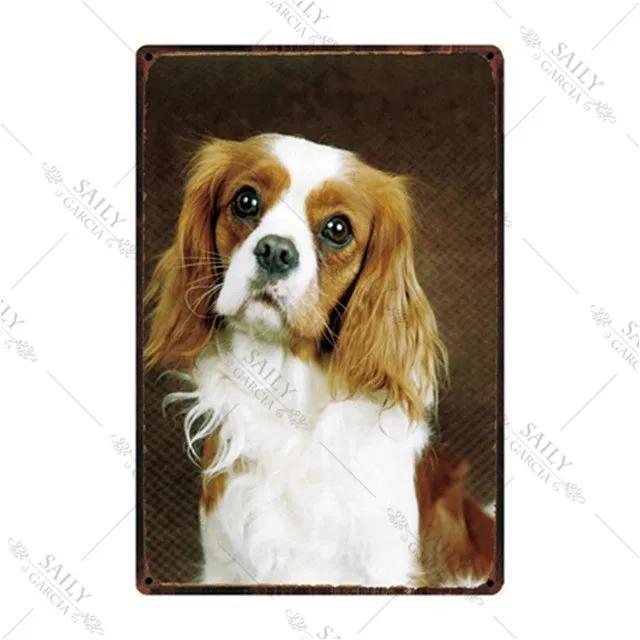 Dog Rules Metal Print Plates Lovely Bulldog Boxer Beagle Great Dane Metal Tin Sign Poster Vintage Pub Bar Sign Man Cave Plaques