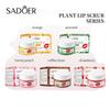 Lip Scrub 20g Orange Moisturizing Lip Balm Autumn and Winter Skin Care Products
