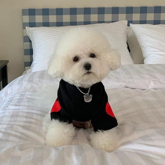 Yousheng Pet Pullover Fashionable Love Pattern Dog Shirt Comfortable Warm Cat Two-Legged Clothing Pet Supplies