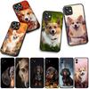 Corgi Dachshund Dog Phone Cover for Samsung Galaxy S25 S24 S22 S23 FE Ultra Plus A56 A05 A06 A15 A16 A55 S7 Edge Case