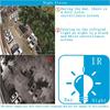 2MP Infrared Car & Bus Camera 1080P AHD/TVI