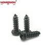 Nickel-plated Phillips Pan Head Self-Tapping Screw PA3*10