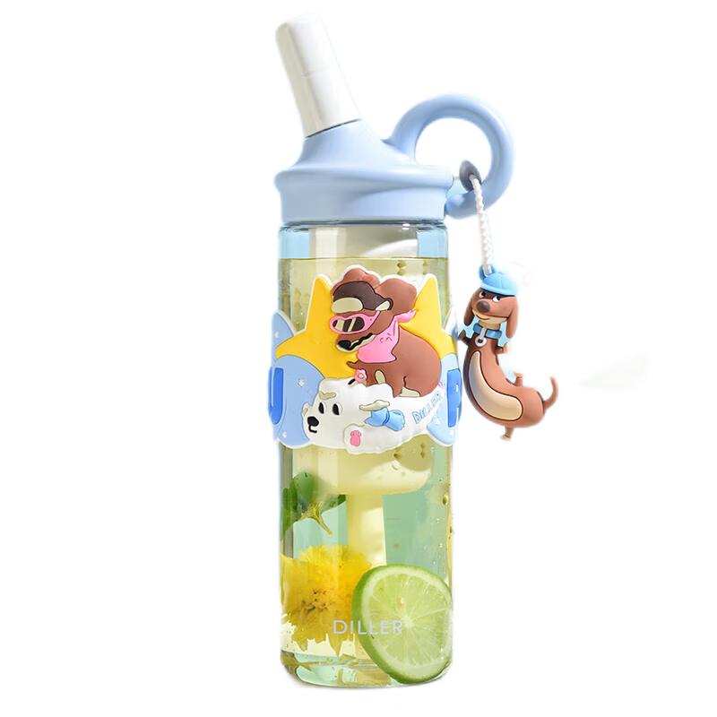 Dileber Tritan Tea Infuser Straw Water Bottle