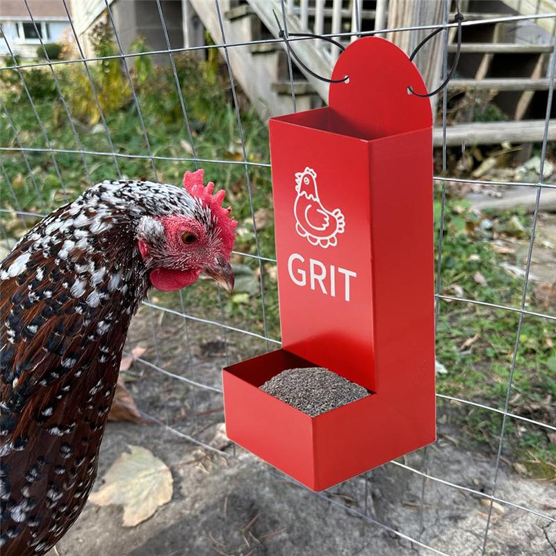 M-Modern-Hühner-Austernschalen-Futterautomat und Grit-Futterautomat Metall-Hühnerfutterautomat Hühnerstall-Zubehör Automatischer Hühnerfutterautomat