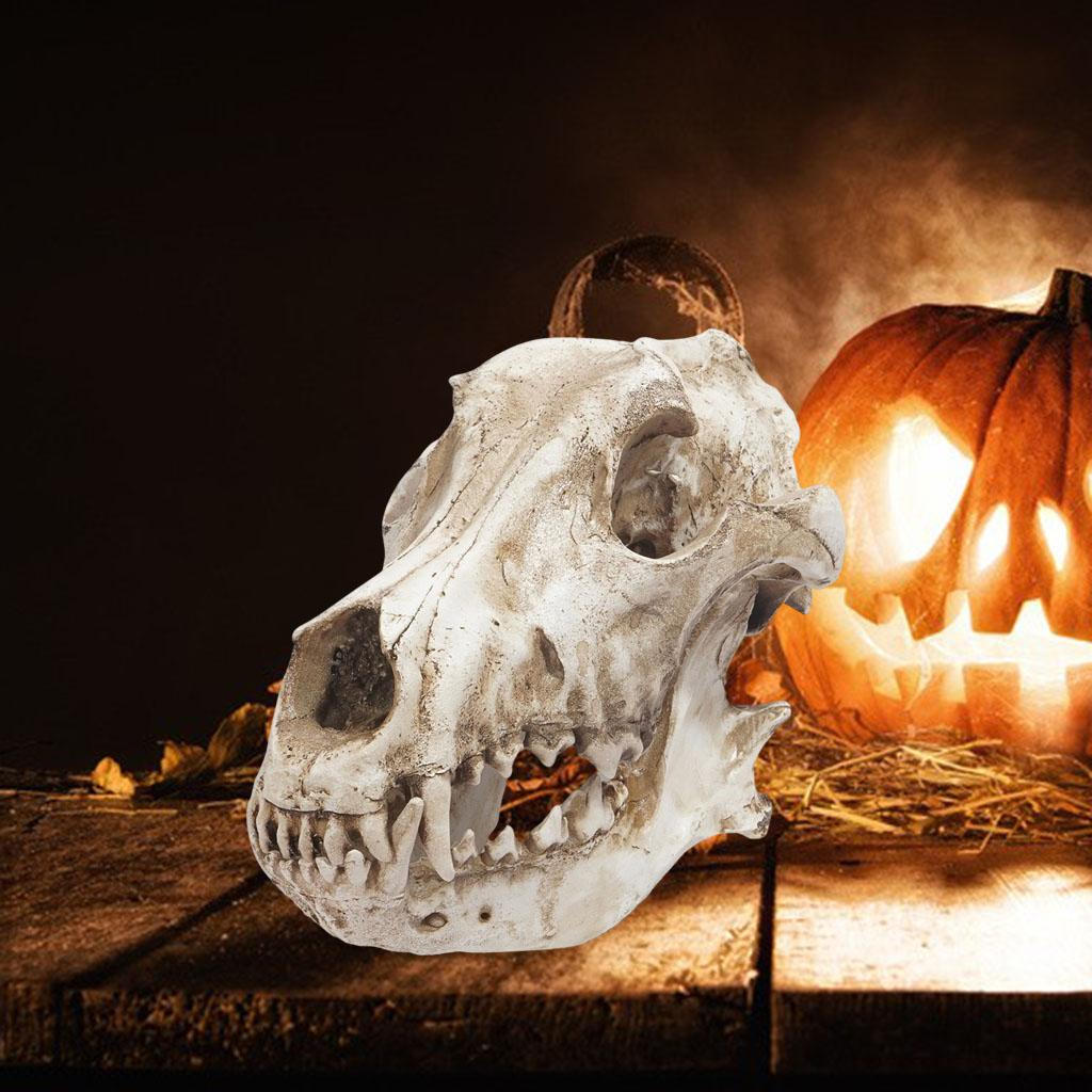 

Art Wolf Skull Ornament Statue Snake Place Habitat Halloween Bedroom Tabletop Decor