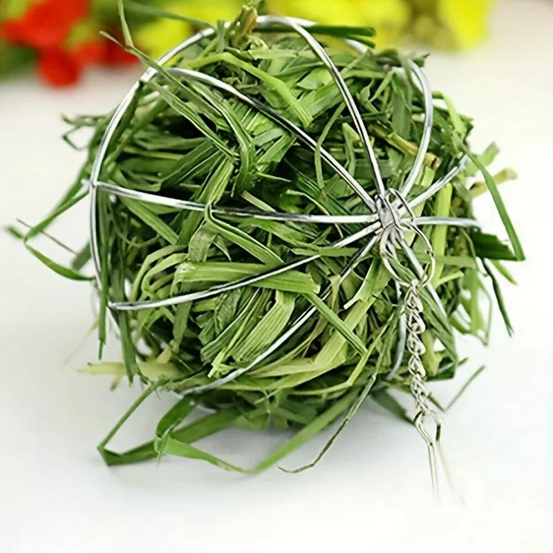 Fashion Rabbit Grass Feeder Ball - Stainless Steel Holder for Small Pets Easy Feeding Tool Healthy Digestion