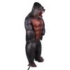 Halloween Inflatable Costume with Air Blower for Festivals Parties Parks Zoos DecorationX117