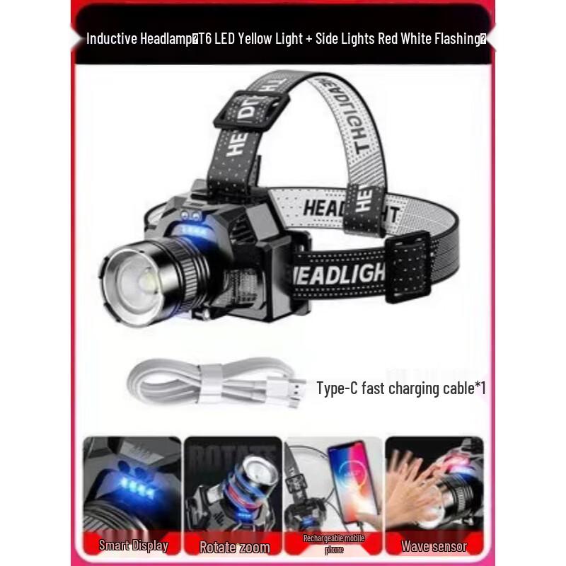 WGP Diverse Collection: Lighting, Grooming & More