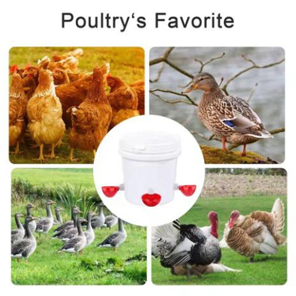 8Pcs Hanging Poultry Drinker Plastic Chicken Water Feeder Practical Bird Water Cups  Bird Coop