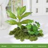 Luxury Faux Green Plant and Flower Decor - Indoor Moss and Grass Clusters for Elegant Landscaping.