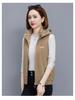 Woodpecker Women's Fashionable Sleeveless Vest - Spring/Autumn 2024 Collection