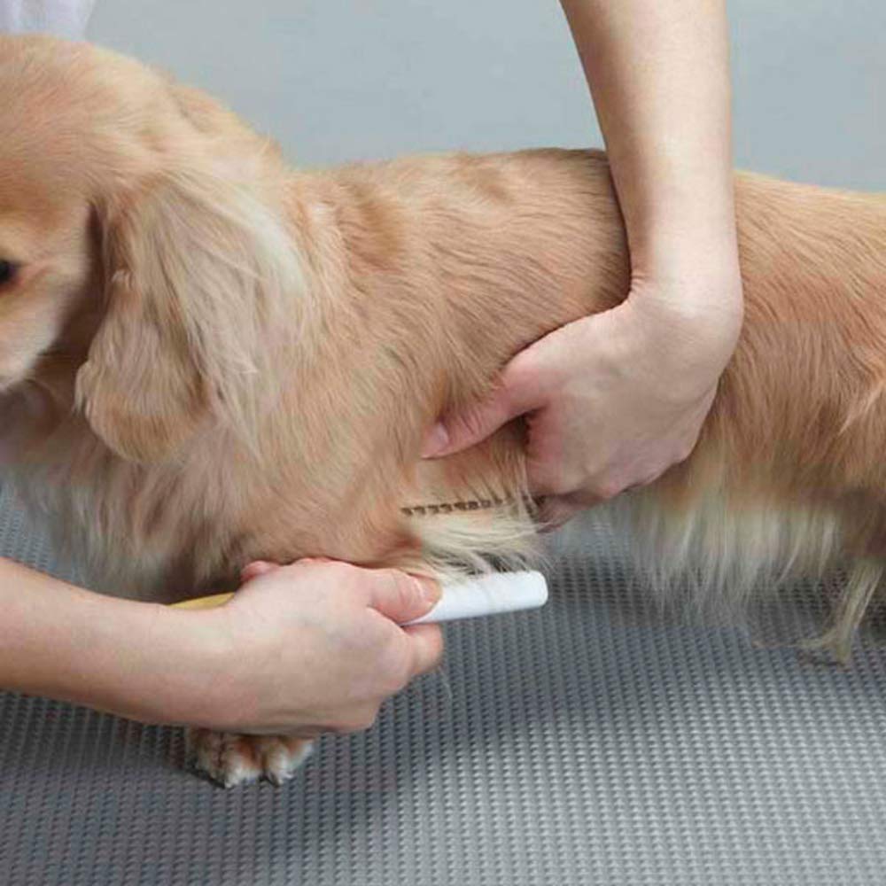 Doggyman Tablettenentferner