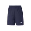 Puma Team Goal Training Shorts Asian Fit (65940906) Shorts