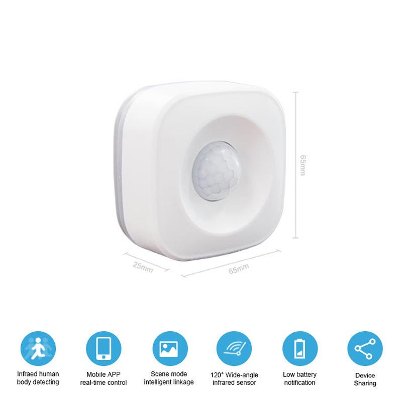 Graffiti Zigbee PIR Motion Sensor: Tuya Smart Infrared WiFi Detector